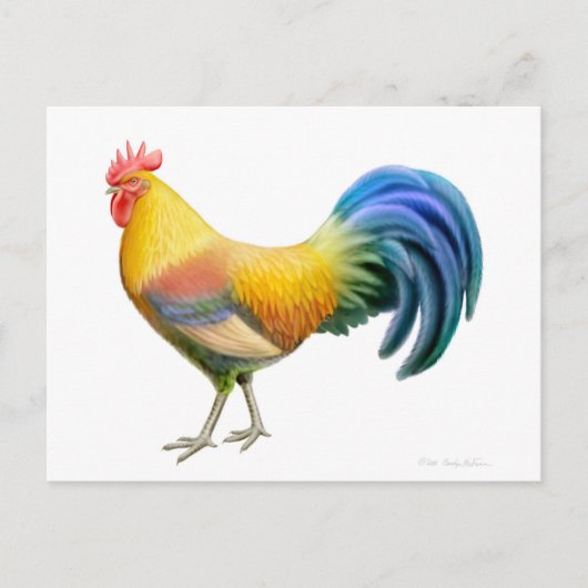 Briefkaart Ardenner Rooster (Voorkant)