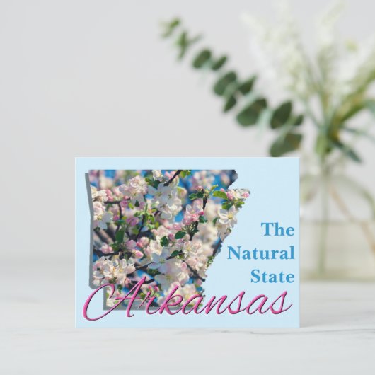 Briefkaart - ARKANSAS (Staand voorkant)