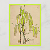 Briefkaart- Art-Charles Rennie Mackintosh 11 Briefkaart (Voorkant)