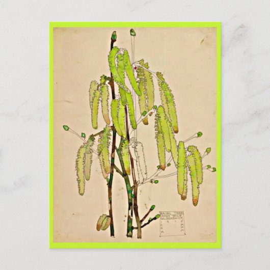 Briefkaart- Art-Charles Rennie Mackintosh 11 Briefkaart (Voorkant)