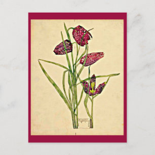 Briefkaart- Art-Charles Rennie Mackintosh 18 Briefkaart