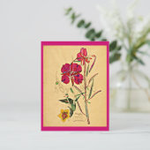 Briefkaart- Art-Charles Rennie Mackintosh 26 Briefkaart (Staand voorkant)