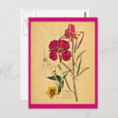 Briefkaart- Art-Charles Rennie Mackintosh 26 Briefkaart (Voorkant / Achterkant)