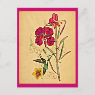 Briefkaart- Art-Charles Rennie Mackintosh 26 Briefkaart