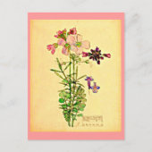 Briefkaart- Art-Charles Rennie Mackintosh 28 Briefkaart (Voorkant)