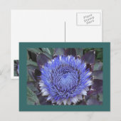 Briefkaart Artichoke Bloom (Voorkant / Achterkant)
