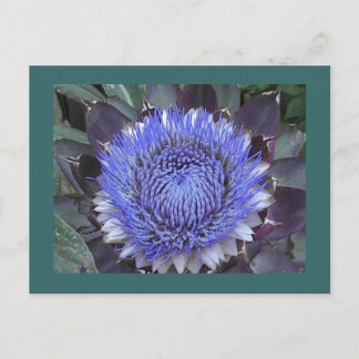 Briefkaart Artichoke Bloom