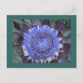 Briefkaart Artichoke Bloom (Voorkant)