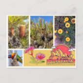 Briefkaart Australië (Voorkant)