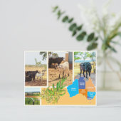 Briefkaart Australië (Staand voorkant)