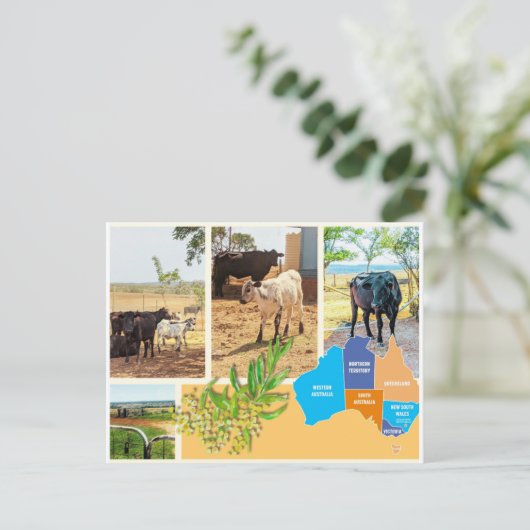 Briefkaart Australië (Staand voorkant)