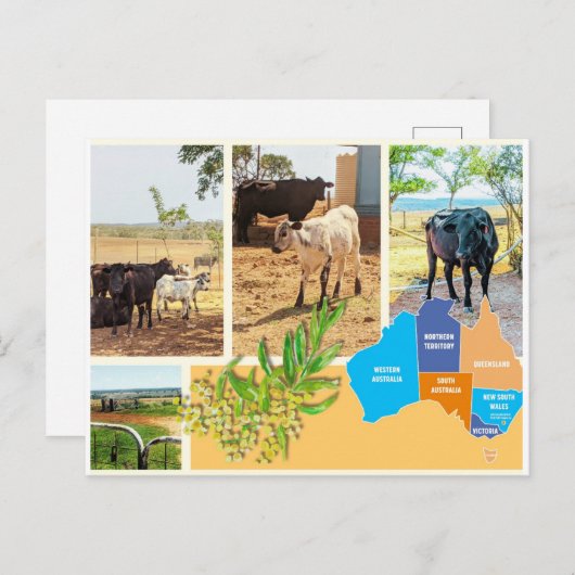 Briefkaart Australië (Voorkant / Achterkant)