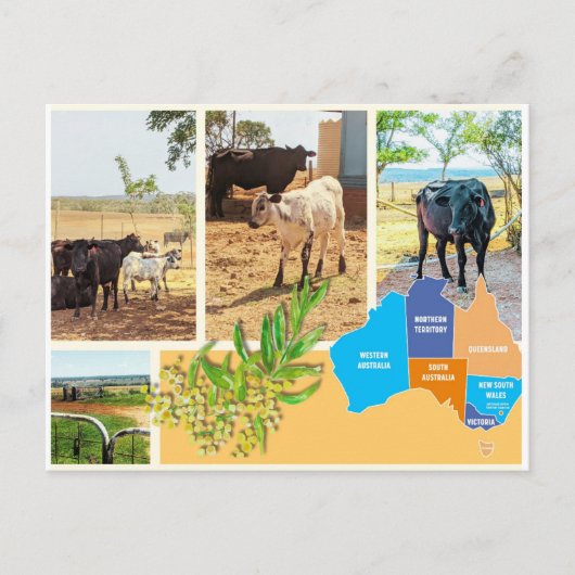 Briefkaart Australië (Voorkant)