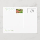 BRIEFKAART, "AZALEAS AND GAZEBO, TOLEDO BOTANICAL  BRIEFKAART (Achterkant)