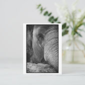 Briefkaart Aziatische olifant (Staand voorkant)