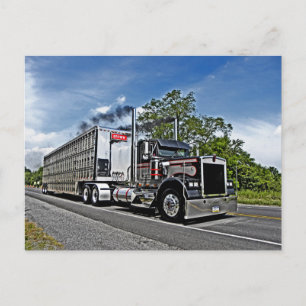 Briefkaart B-model van bruin