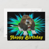 Briefkaart Baby Basset Sheldon Happy Birthday (Voorkant / Achterkant)