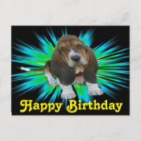 Briefkaart Baby Basset Sheldon Happy Birthday