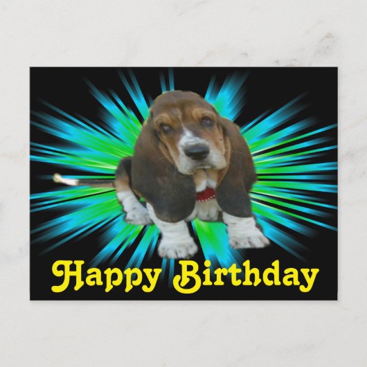 Briefkaart Baby Basset Sheldon Happy Birthday (Voorkant)