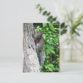 briefkaart "Baby eekhoorn" (Staand voorkant)