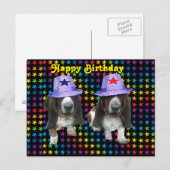 Briefkaart Baby Happy Birthday Basset Hound Stars (Voorkant / Achterkant)