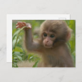 Briefkaart - Baby sneeuwpop (Voorkant / Achterkant)