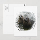 Briefkaart baby zegels (Voorkant / Achterkant)