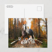 briefkaart "Backways Ramble" (Voorkant / Achterkant)