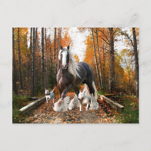 briefkaart "Backways Ramble" (Voorkant)