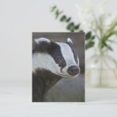 Briefkaart Badger Portrait (Staand voorkant)