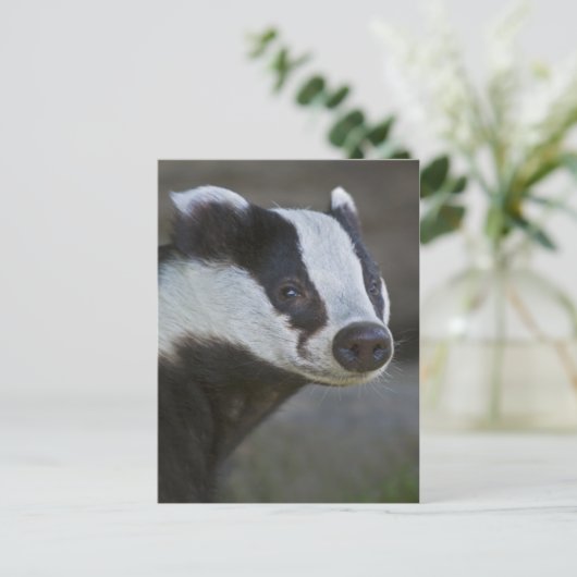 Briefkaart Badger Portrait (Staand voorkant)