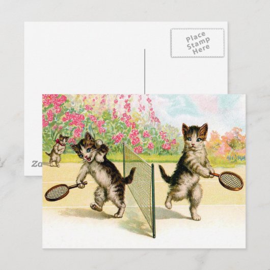 Briefkaart: Badminton Kittens kunst Briefkaart (Voorkant / Achterkant)