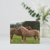 Briefkaart badschoonheid (Staand voorkant)