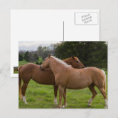 Briefkaart badschoonheid (Voorkant / Achterkant)