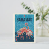 Briefkaart Bahamas Caribbean Pink Flamingos (Staand voorkant)