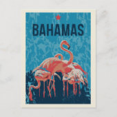 Briefkaart Bahamas Caribbean Pink Flamingos (Voorkant)