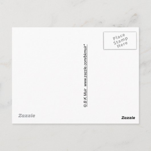 Briefkaart - ballonvaren (Achterkant)