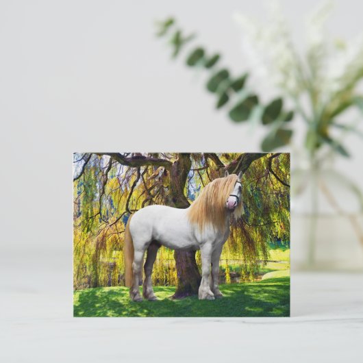 briefkaart "Balthasar" (Staand voorkant)