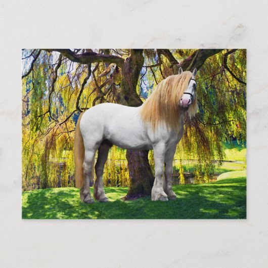 briefkaart "Balthasar" (Voorkant)