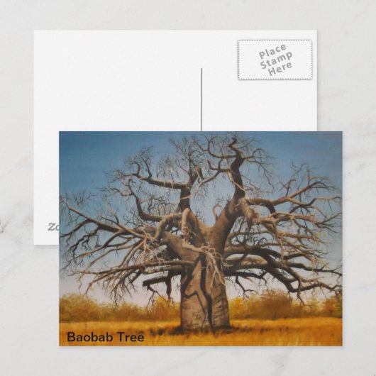 Briefkaart Baobab-boom (Voorkant / Achterkant)