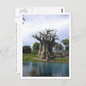 Briefkaart Baobab Tree (Voorkant / Achterkant)