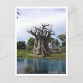 Briefkaart Baobab Tree (Voorkant)