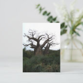 Briefkaart Baobab Tree (Staand voorkant)