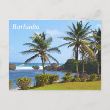 Briefkaart, Barbados, strand scene, palmbomen