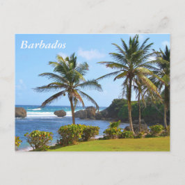 Briefkaart, Barbados, strand scene, palmbomen Briefkaart