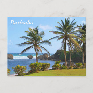 Briefkaart, Barbados, strand scene, palmbomen Briefkaart