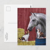 briefkaart "Barn Buds" (Voorkant / Achterkant)