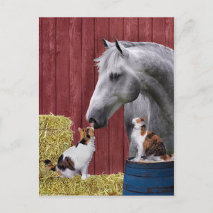briefkaart "Barn Buds"