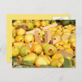 Briefkaart Bartlett Pears (Voorkant / Achterkant)