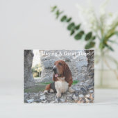 Briefkaart Basset Hound Castle Ruin Visit (Staand voorkant)